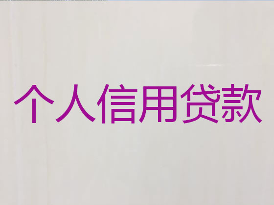 汝州市信用贷款中介公司